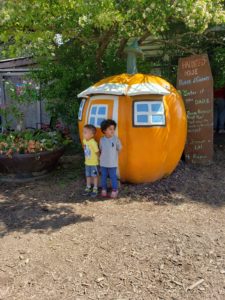 WhatsApp Image 2019-06-05 at 8.35.17 AM (1)