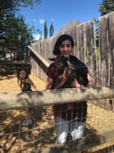 WhatsApp Image 2019-06-05 at 8.36.33 AM (4)