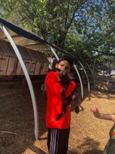 WhatsApp Image 2019-06-05 at 8.36.35 AM