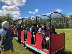 WhatsApp Image 2019-06-05 at 8.37.35 AM (1)