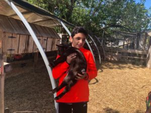 WhatsApp Image 2019-06-05 at 8.39.10 AM (1)